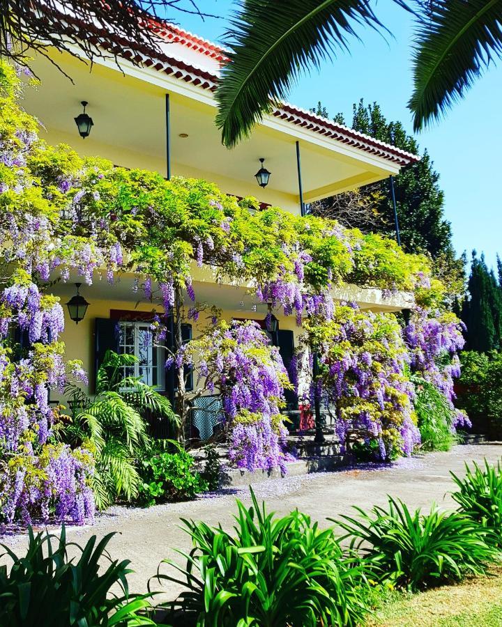 Quinta Do Cabouco Hotel Ribeira Brava Eksteriør billede