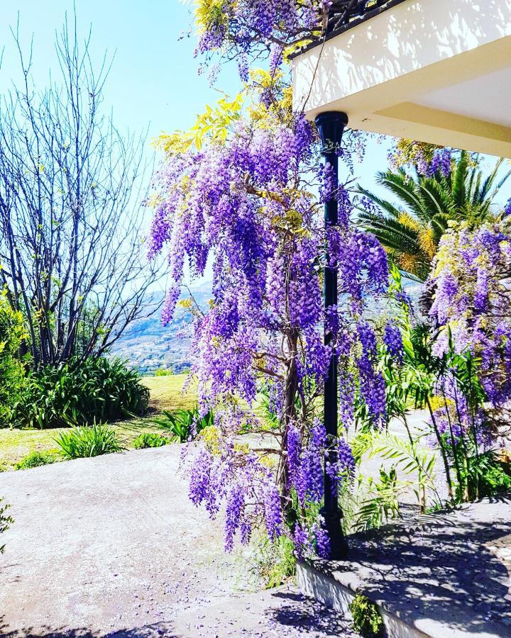 Quinta Do Cabouco Hotel Ribeira Brava Eksteriør billede
