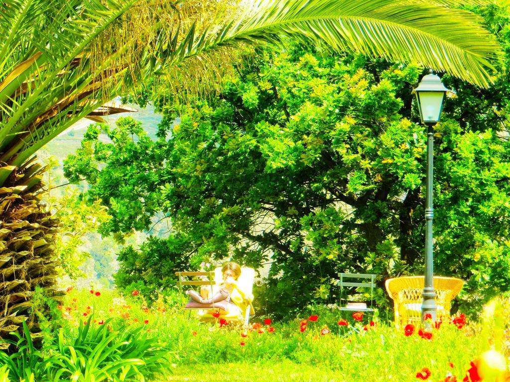 Quinta Do Cabouco Hotel Ribeira Brava Eksteriør billede