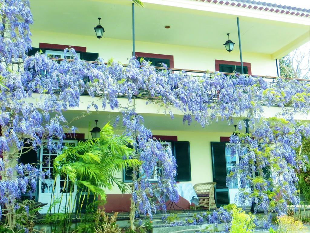 Quinta Do Cabouco Hotel Ribeira Brava Eksteriør billede